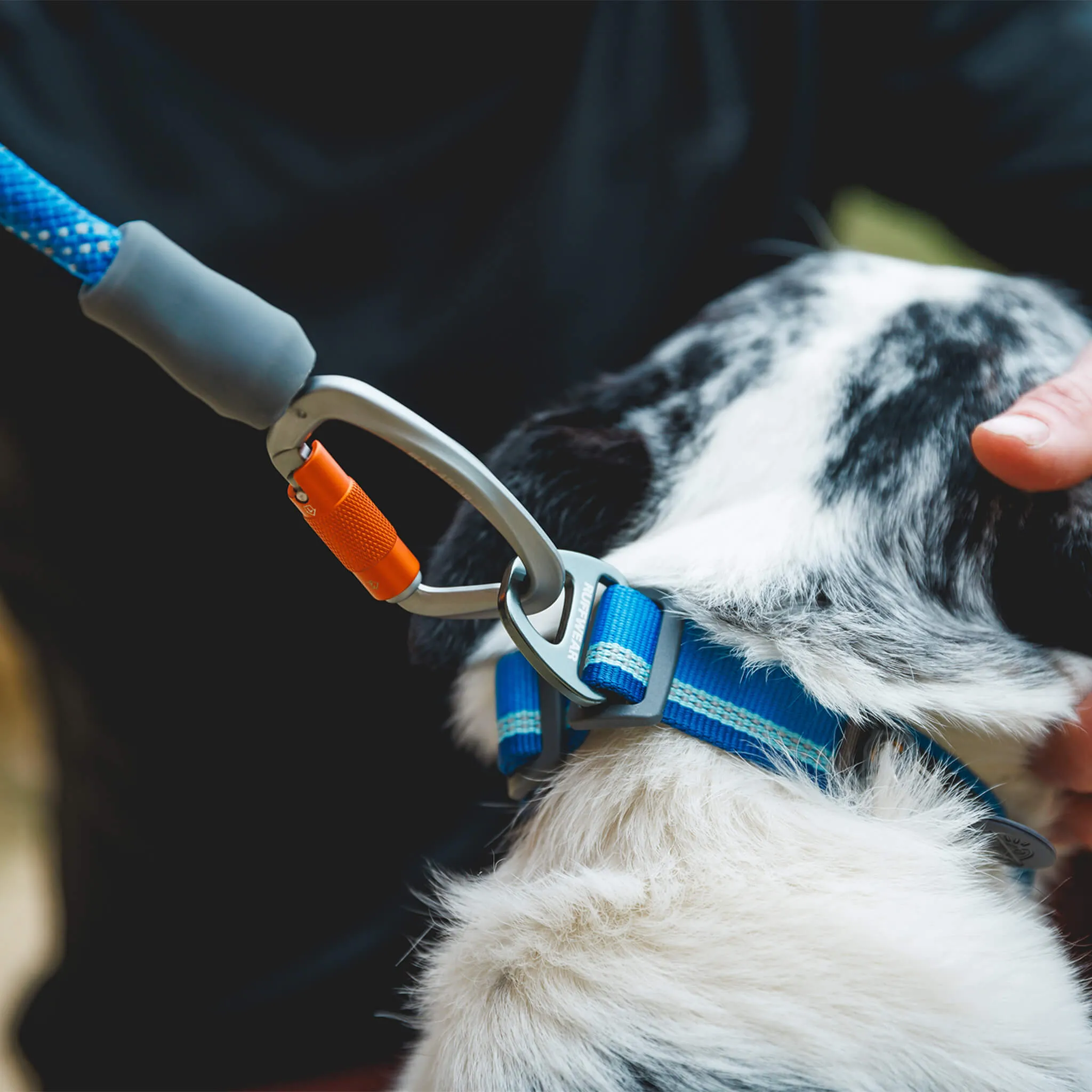 RuffWear Knot-a-Leash for Dogs
